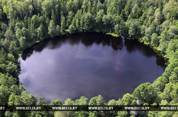 Специалисты Всемирного банка оценивают ход проекта по развитию лесного сектора Беларуси