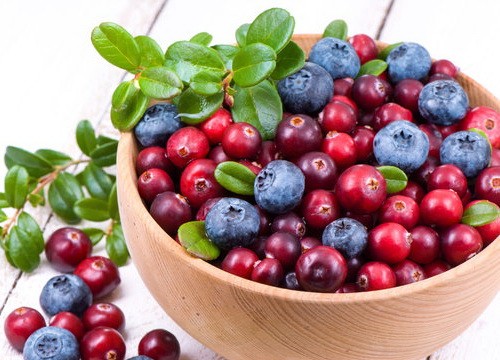 ОАО «Полесские журавины»: свежая клюква и голубика – натуральный вкус и целебные свойства